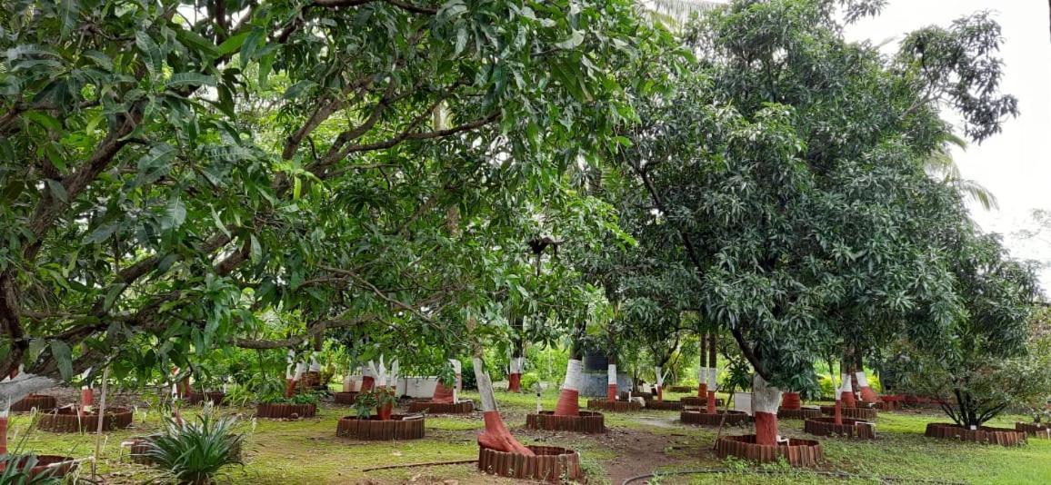 Prajakta Rest House Alībāg Εξωτερικό φωτογραφία